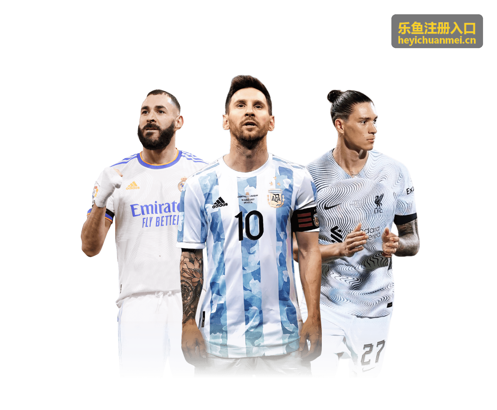 乐鱼注册入口 · 常见注册问题解答